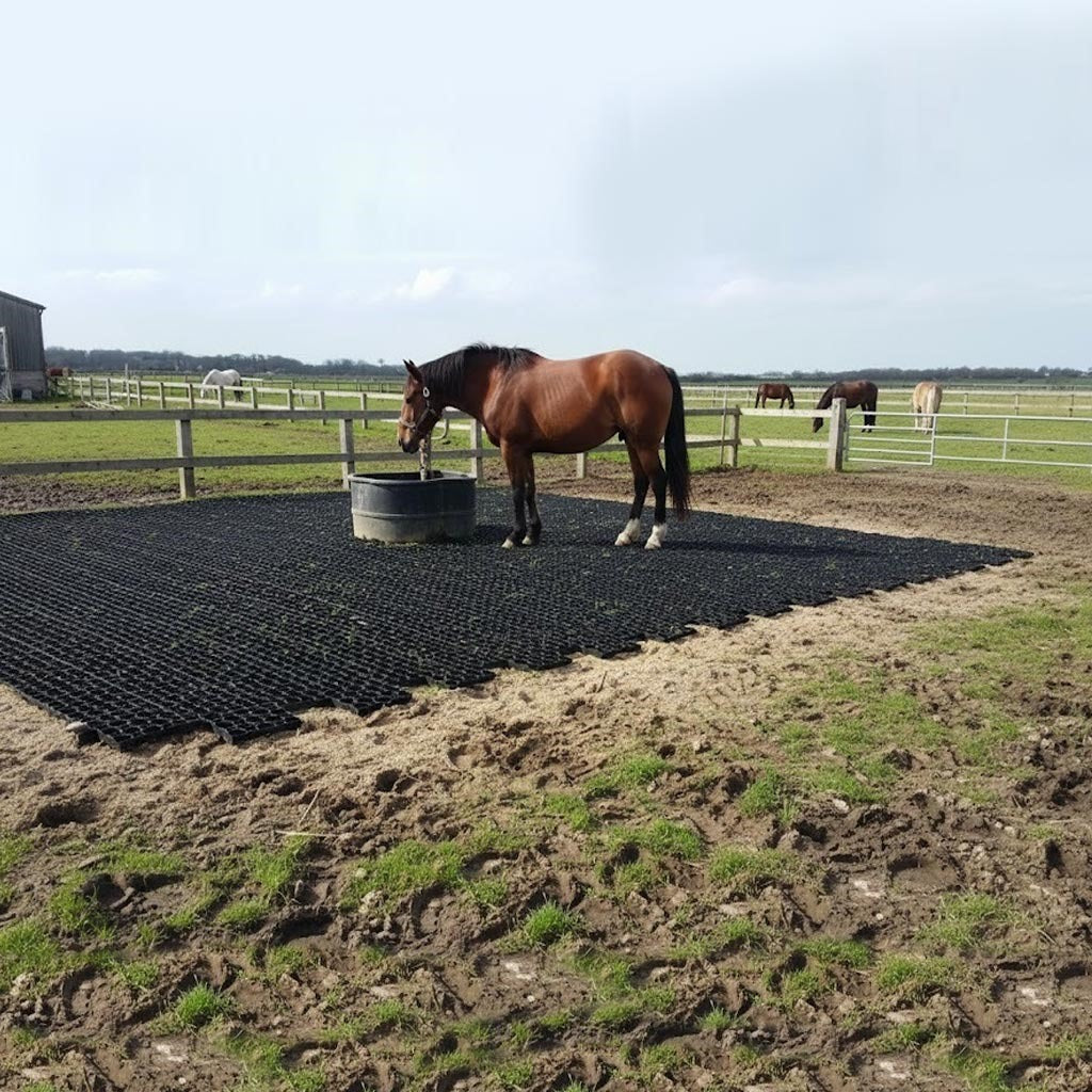 Heavy-duty porous paving grid used in an equestrian or agricultural setting to prevent mud and hoof damage in high-traffic areas.