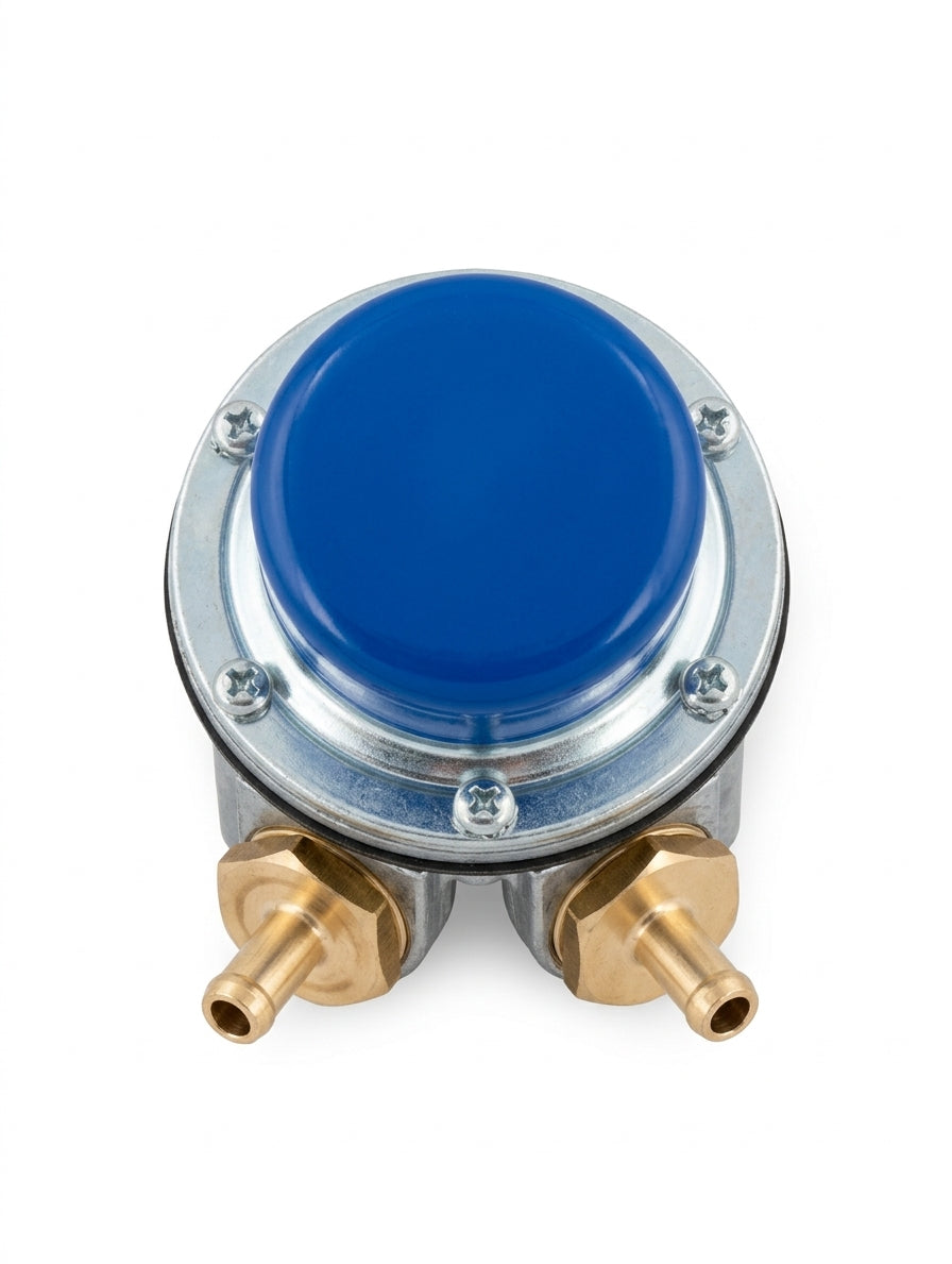 Top-down studio shot of fuel pump with blue cap and two brass barbed outlet ports