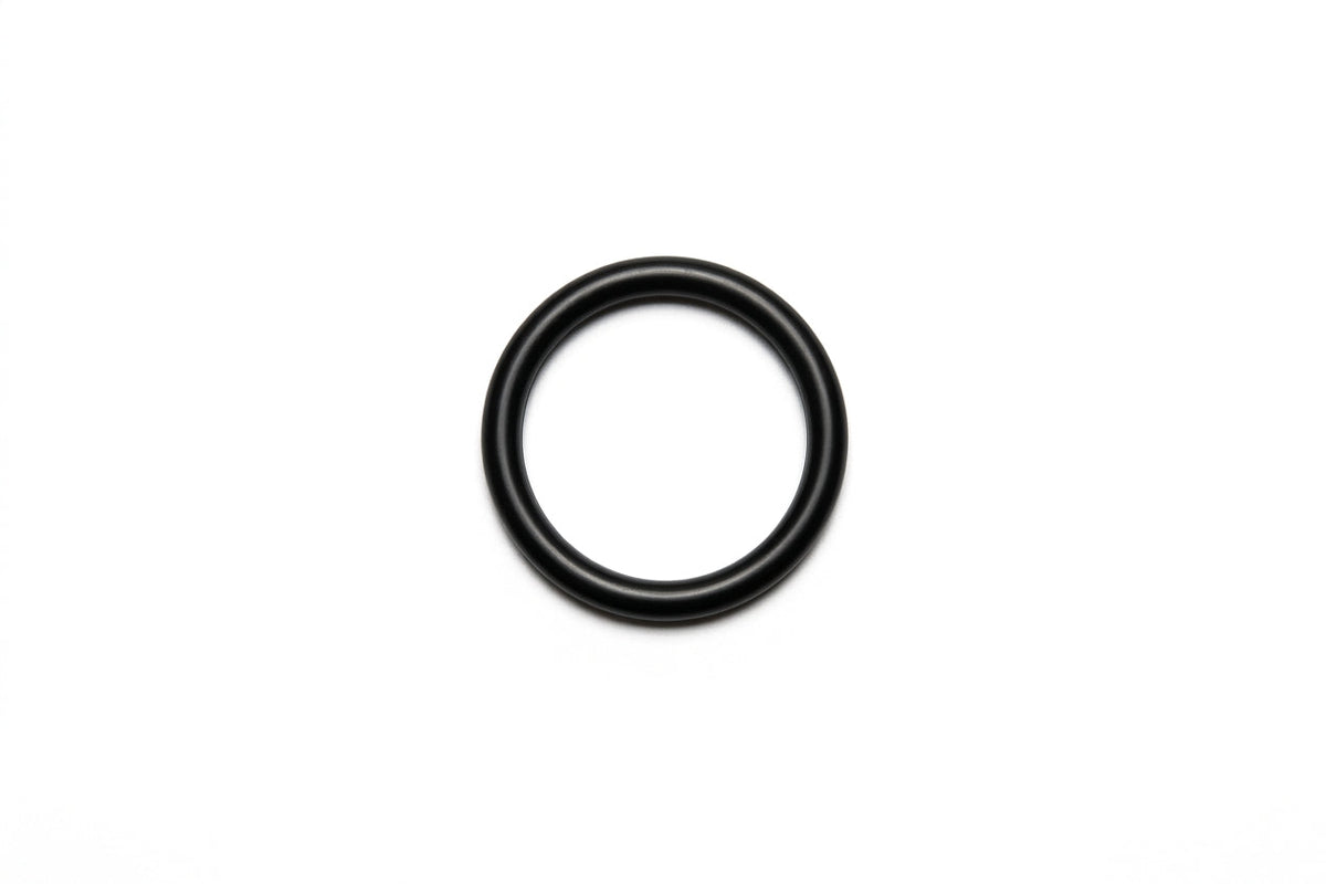 Small black nitrile O-ring photographed alone on a white background