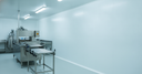 Food processing room lined with white wall cladding, stainless conveyor and machinery along one side