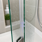 Clear winged seal down the vertical edge of a wet bath screen pane, chrome hinge below