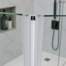 Clear magnetic seals meeting below a glass edge, marble niche with bottles and a black shower hose behind