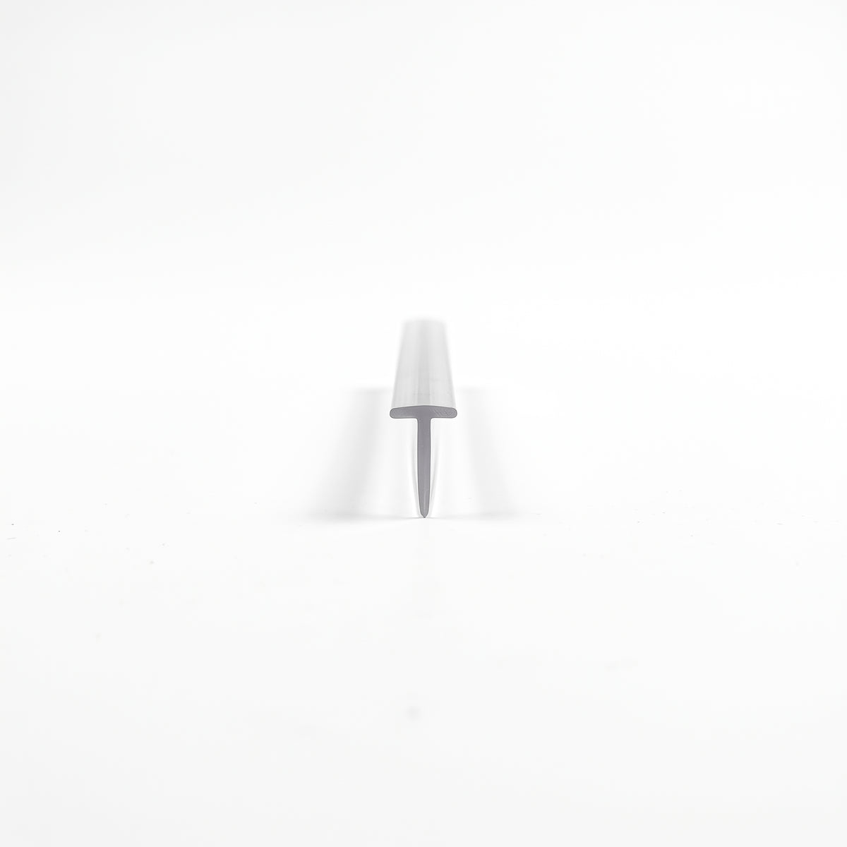 Small clear seal offcut on white, tapered head narrowing into a long thin blade, shot end-on