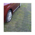 Red car parked on a lawn where grass has grown through the green protection mesh, leaving a firm surface
