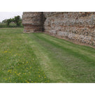 Grassed path beside a ruined flint wall where mesh has fully grown over, leaving an almost invisible finish