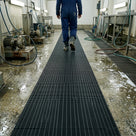 Black open-grid matting unrolled down a wash-down bay past pumps and sinks, water draining to the concrete