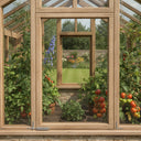 Timber greenhouse window looking onto a lawn, tomato plants ripening on either side