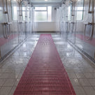Mulberry red ribbed barefoot matting running between two rows of showers in a communal shower block, water draining through the ribs