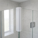 Clear corner seal at a glass-to-glass shower corner, chrome hinge to the right and window reflected in the pane