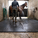 Bay horse being hosed down in a breeze-block wash box, standing on wet black wide rib rubber matting over a floor drain